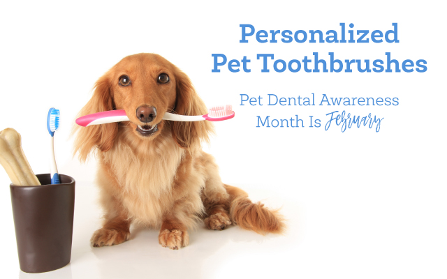 Personalized Pet Toothbrushes