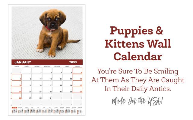 Puppies & Kittens Wall Calendar