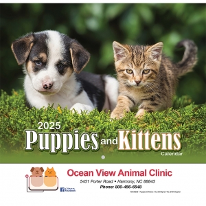 Puppies & Kittens Wall Calendar