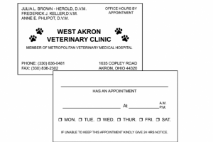 Appointment Cards (2 Sided Imprint)