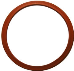 Autoclave Door Gasket